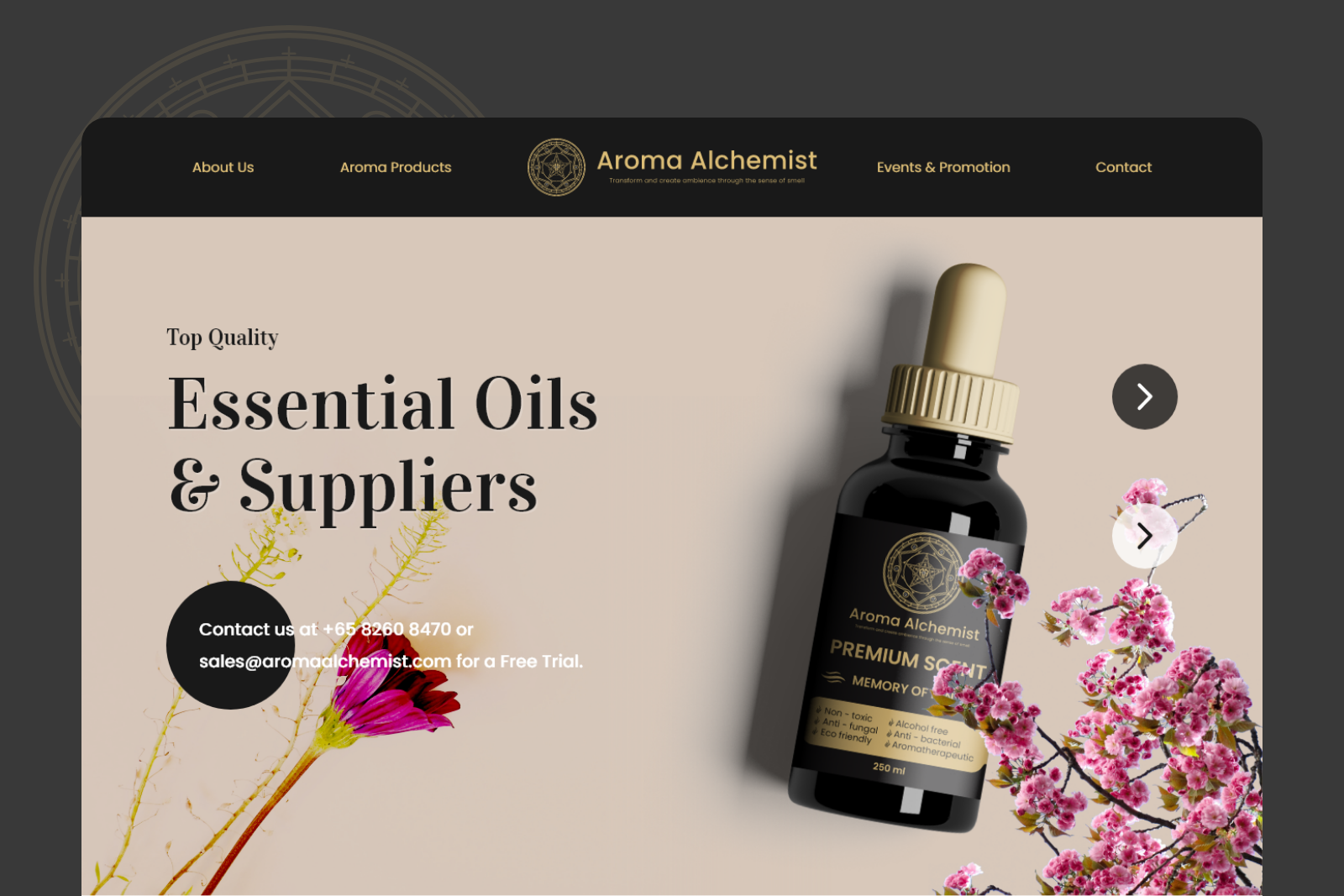 home-reputable-success-client-image-01
